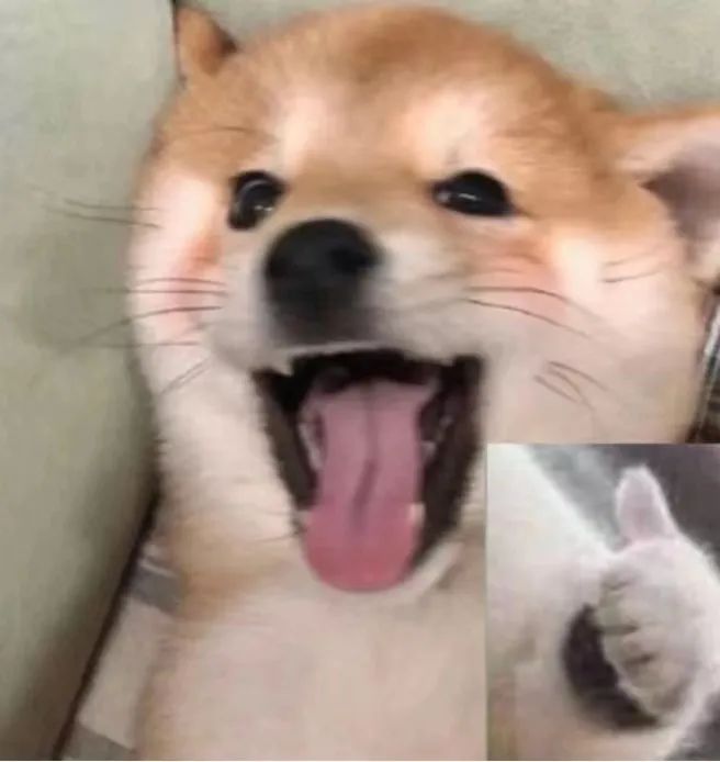 1686539014742339.jpg 1.jpg