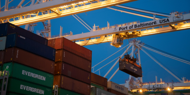 1699928096866942.png 10002.png