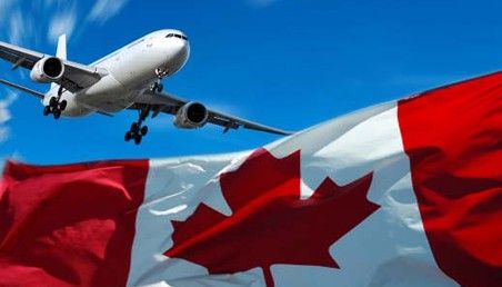 1718358197424617.jpg 2.jpg